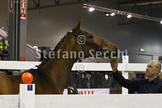 NADA BRAUN_MILANO_2010_SS3_1540.jpg